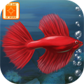 Fish Tycoon