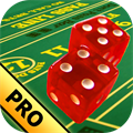 Casino Craps Pro 3D