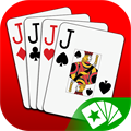 Euchre 3D