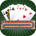 Cribbage Pro