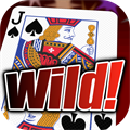 Wild Dream Poker