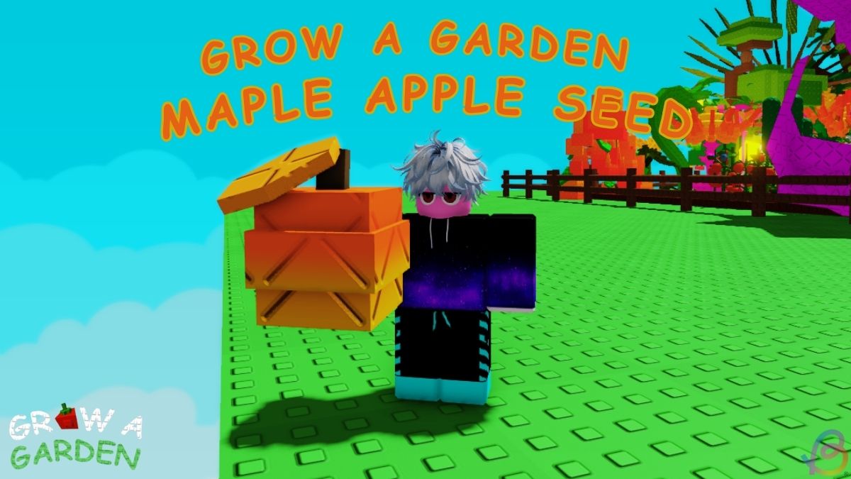 How to Get Maple Apple in Grow a Garden
