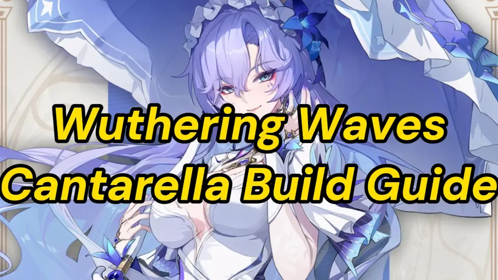 WuWa 2.5 Cantarella Build: Best Teams, Weapons, Echo Sets
